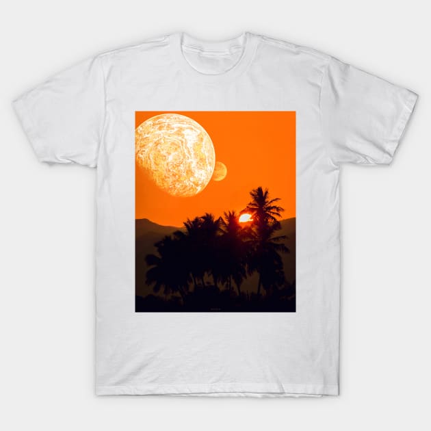 HAWAII. T-Shirt by LFHCS